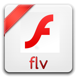FLV video output