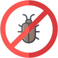 no bug